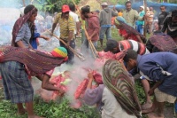 200px-Desember_22-27_2012_Liputan_Khusus_Wamena.jpg