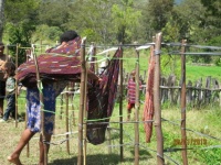 200px-Januari_27-30_2012_Liputan_Khusus_Pilgub_Wamena.jpg